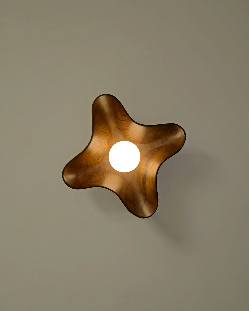 Compass Wall Light