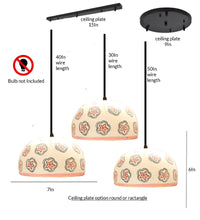 Load image into Gallery viewer, dome triple cluster Hanging Light
