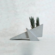 Load image into Gallery viewer, Grasshopper concrete geometrical concrete planter for table top /office desk / living room / console table-Home Décor-Claymango.com
